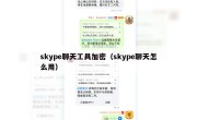 skype聊天工具加密（skype聊天怎么用）
