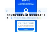旺旺私密聊天软件安全吗（旺旺聊天是干什么的）