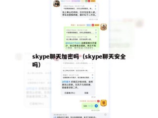 skype聊天加密吗（skype聊天安全吗）