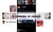 萝卜密聊账套路（萝卜蜜的做法）