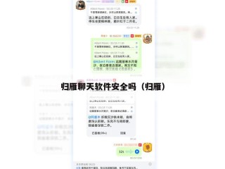 归雁聊天软件安全吗（归雁）