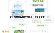 萝卜密聊怎么弄到电脑上（卜萝卜萝蜜）