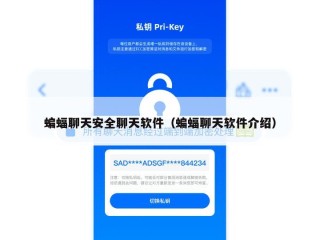 蝙蝠聊天安全聊天软件（蝙蝠聊天软件介绍）