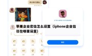 苹果企业密信怎么设置（iphone企业信任在哪里设置）