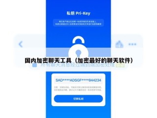 国内加密聊天工具（加密最好的聊天软件）