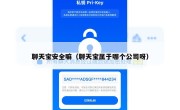 聊天宝安全嘛（聊天宝属于哪个公司呀）