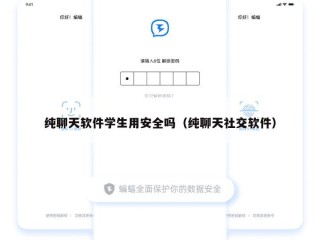 纯聊天软件学生用安全吗（纯聊天社交软件）