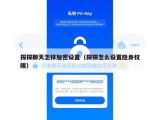 探探聊天怎样加密设置（探探怎么设置隐身权限）