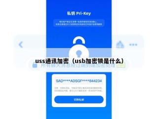 uss通讯加密（usb加密锁是什么）