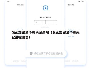 怎么加密某个聊天记录呢（怎么加密某个聊天记录呢微信）