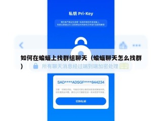如何在蝙蝠上找群组聊天（蝙蝠聊天怎么找群）
