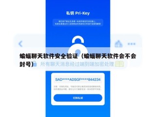 蝙蝠聊天软件安全验证（蝙蝠聊天软件会不会封号）