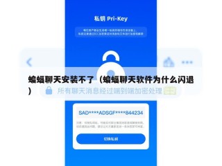 蝙蝠聊天安装不了（蝙蝠聊天软件为什么闪退）