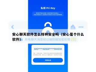 安心聊天软件怎么样啊安全吗（安心是个什么软件）