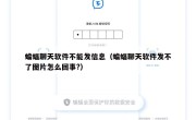 蝙蝠聊天软件不能发信息（蝙蝠聊天软件发不了图片怎么回事?）
