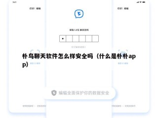 朴鸟聊天软件怎么样安全吗（什么是朴朴app）