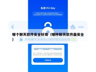 哪个聊天软件安全好用（哪种聊天软件最安全）