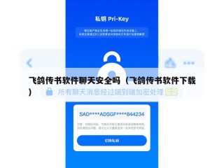 飞鸽传书软件聊天安全吗（飞鸽传书软件下载）