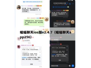 蝙蝠聊天ios版v2.4.7（蝙蝠聊天app256）