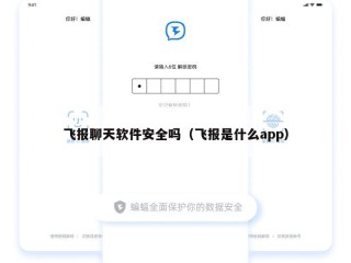 飞报聊天软件安全吗（飞报是什么app）