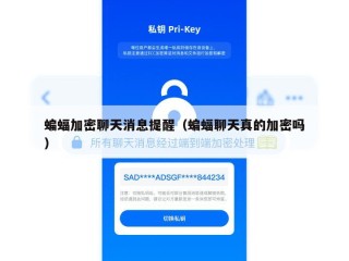 蝙蝠加密聊天消息提醒（蝙蝠聊天真的加密吗）