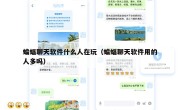 蝙蝠聊天软件什么人在玩（蝙蝠聊天软件用的人多吗）