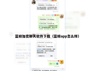 蓝鲸加密聊天软件下载（蓝鲸app怎么样）