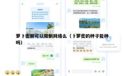 萝卜密聊可以限制网络么（卜萝密的种子能种吗）