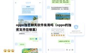 oppo加密聊天软件有用吗（oppo的加密文件在哪里）