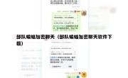部队蝙蝠加密聊天（部队蝙蝠加密聊天软件下载）