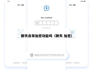聊天自带加密功能吗（聊天 加密）