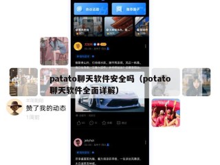 patato聊天软件安全吗（potato聊天软件全面详解）