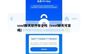 soul聊天软件安全吗（soul聊天可靠吗）