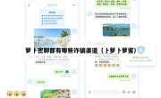 萝卜密聊都有哪些诈骗渠道（卜萝卜萝蜜）