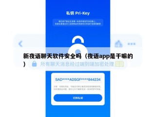 新夜语聊天软件安全吗（夜语app是干嘛的）