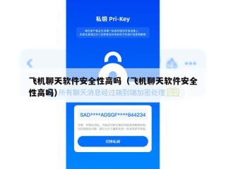 飞机聊天软件安全性高吗（飞机聊天软件安全性高吗）