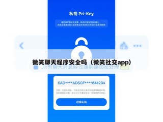 微笑聊天程序安全吗（微笑社交app）