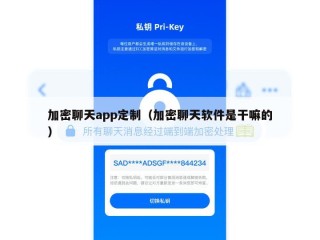 加密聊天app定制（加密聊天软件是干嘛的）