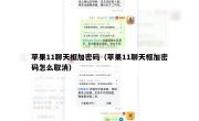 苹果11聊天框加密码（苹果11聊天框加密码怎么取消）