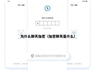 为什么聊天加密（加密聊天是什么）