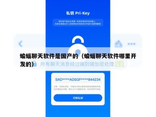 蝙蝠聊天软件是国产的（蝙蝠聊天软件哪里开发的）