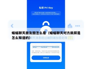 蝙蝠聊天朋友圈怎么看（蝙蝠聊天对方截屏是怎么知道的）