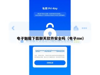 电子魅魔下载聊天软件安全吗（电子me）