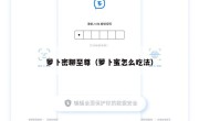 萝卜密聊至尊（萝卜蜜怎么吃法）