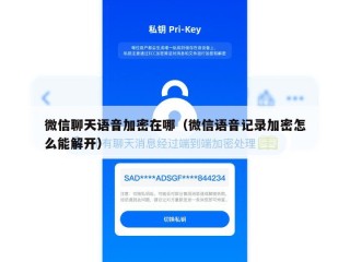 微信聊天语音加密在哪（微信语音记录加密怎么能解开）