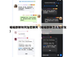 蝙蝠群聊如何加密聊天（蝙蝠群聊怎么加好友）