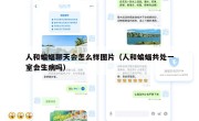 人和蝙蝠聊天会怎么样图片（人和蝙蝠共处一室会生病吗）