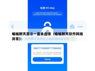 蝙蝠聊天显示一直未连接（蝙蝠聊天软件网络异常）