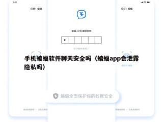 手机蝙蝠软件聊天安全吗（蝙蝠app会泄露隐私吗）