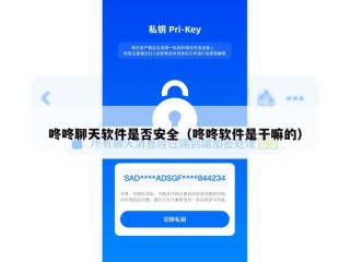 咚咚聊天软件是否安全（咚咚软件是干嘛的）